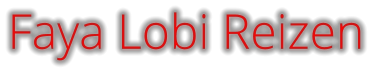 Faya Lobi Reizen